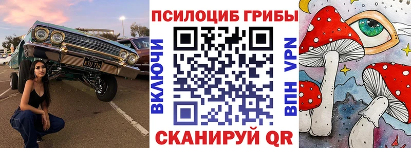 kraken как зайти  Кохма  Псилоцибиновые грибы мицелий 